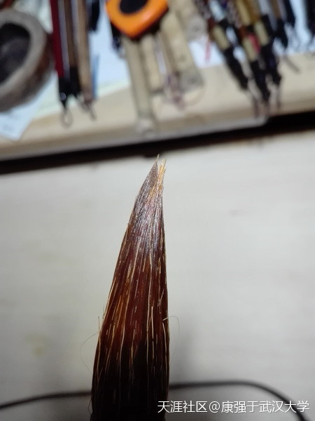 墨苑笔庄純狼提斗小号 康强武汉大学   